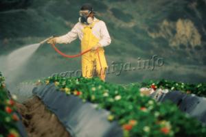 Применение пестицидов для борьбы с вредителями